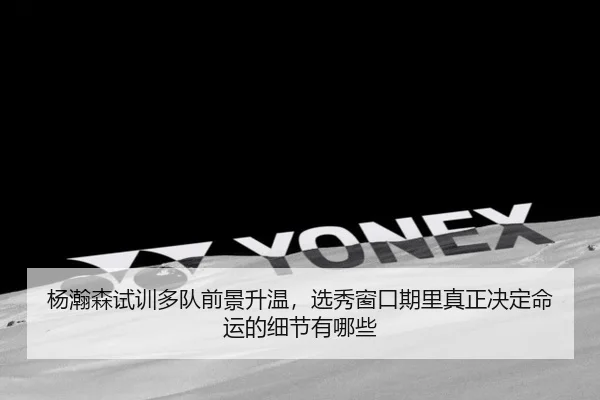 杨瀚森试训多队前景升温，选秀窗口期里真正决定命运的细节有哪些